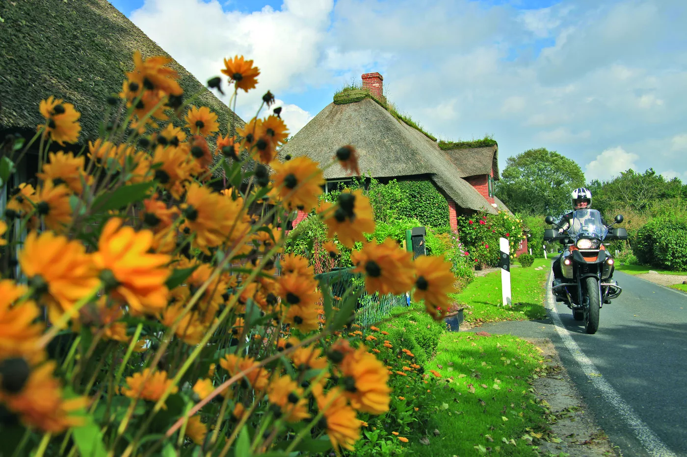 Reetgedecktes Haus hinter Sonnenblumen, davor ein Motorrad auf der Straße
